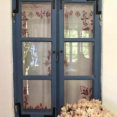 Kali Kerted Vendeghazak Lidi Neni Haza