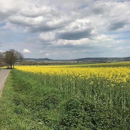 Kali Kerted Vendeghazak Lidi Neni Haza Dom wakacyjny *