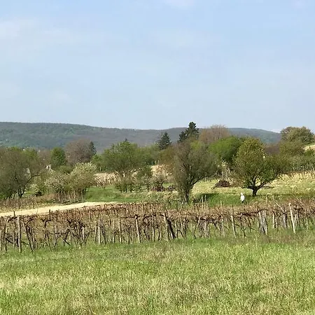 Kali Kerted Vendeghazak Lidi Neni Haza Monoszlo
