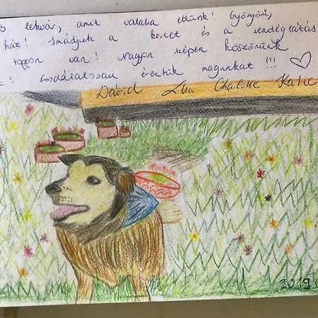 Kali Kerted Vendeghazak Lidi Neni Haza Case de vacanță *